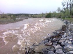 The usually small Bear Creek is now a raging river!