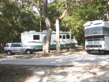 Hanna campsites are in a forest of oaks, palms and assorted other trees.
