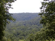 A view of the typical countryside in most of Kentucky,