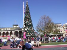 At Christmas, the parks are all decorated for the occasion. This tree was at the entry of Magic Kingdom.