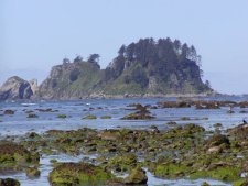 The island headlands at the coast some three miles hike from Lake Ozette.