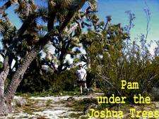 Pam walks under the largest Joshus Trees we have ever seen.