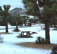 December morning snow blankets the camp.