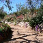 The walk into the gardesn is landscaped with deserrt plants from around the world.