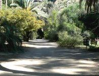 The gardens contain more than 3200 species of desert plant.