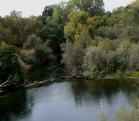 The Stanislaus River passing through the park.