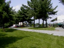 The RV park is located in one of the seed production groves.