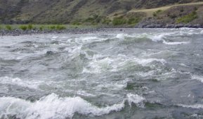 This is a view of one of the 182 rapids that the boat tour traveled through.