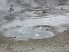 This is one of the many boiling pools. (click for a view of Crater Spring)